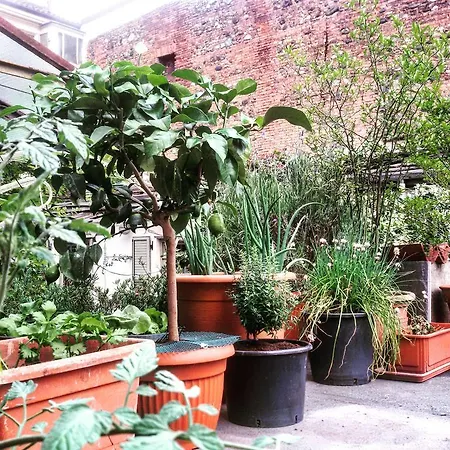 Avalon מלון טורינו